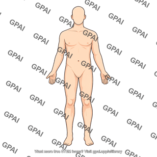 Adult 5 male anterior 924