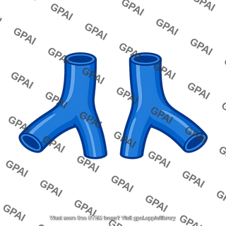 Common iliac vessel