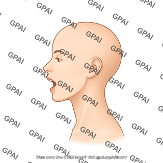 Adult female head lateral hairless open mouth
