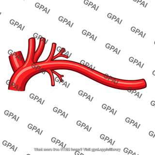 Left subclavian artery