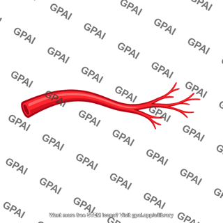 Arterial branch