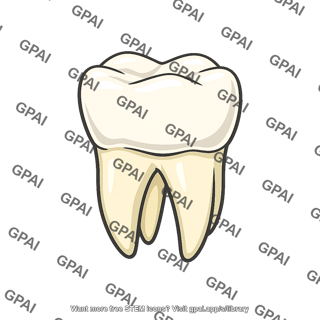 Molar tooth