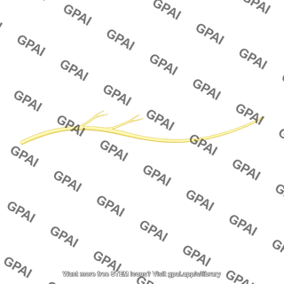 Nerve branch