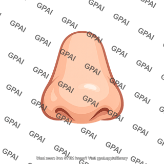 Human nose