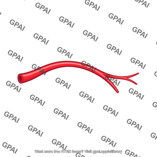 Arterial branch