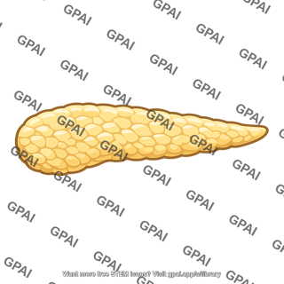 Body of pancreas