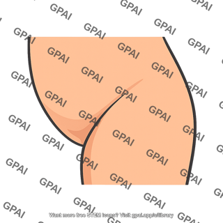 Inguinal region
