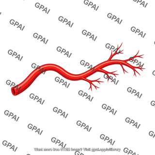 Uterine artery