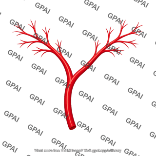 Branching artery