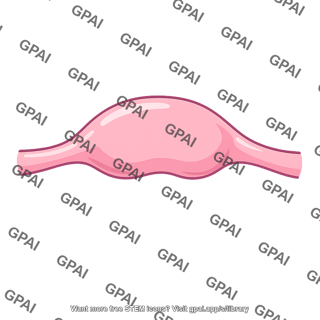 Ampulla of uterine tube