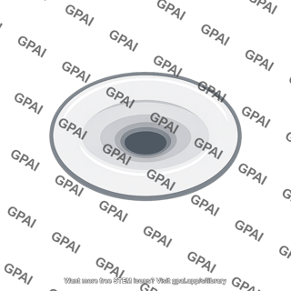 Fovea centralis