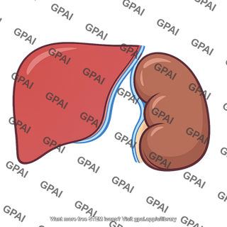 Hepatorenal space