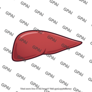 Left lobe of liver