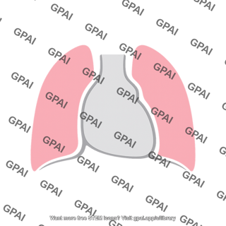 Cardiomediastinal contour