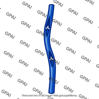 Calf vein