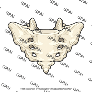 Sacrum