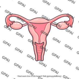 Reproductive system