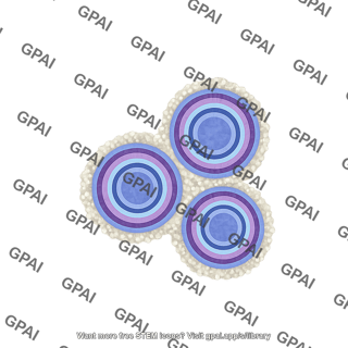 Coalescing hydroxyapatite rings kidney stones