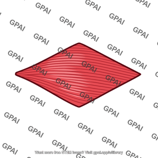 Rhomboid