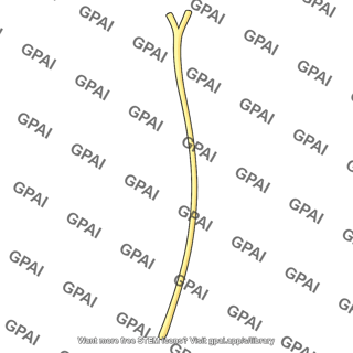 External branch superior laryngeal nerve