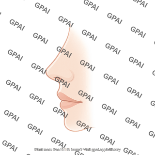 Lips lateral view