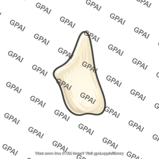Tooth