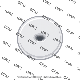 Fovea