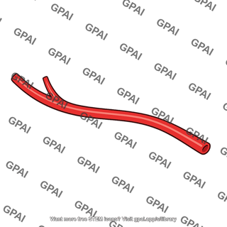 Arterial branch