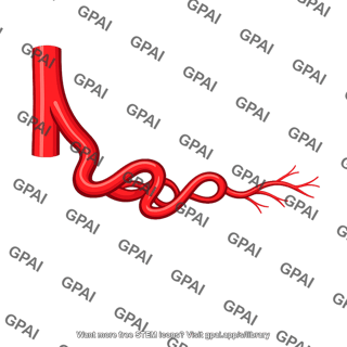Posterior inferior cerebellar artery