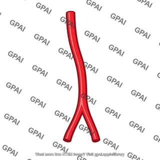 Common palmar digital artery