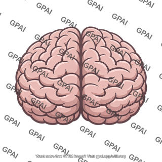 Cerebrum