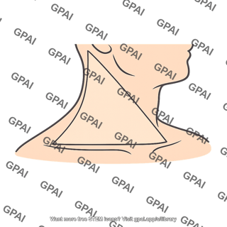 Posterior triangle of neck