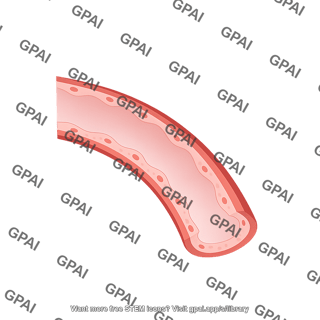 Blood vessel curved light