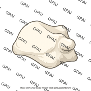 Raw chicken breast