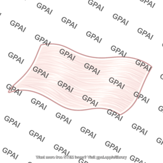 Fibroelastic membrane