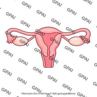 Genital tract female