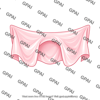 Draped pink membrane