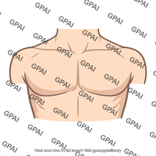 Pectoral region