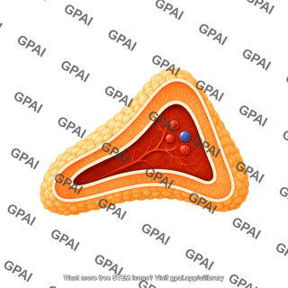 Adrenal gland right cut