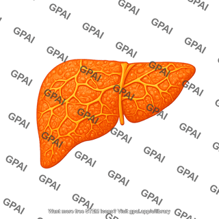 Liver fibrotic