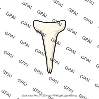 Xiphoid process