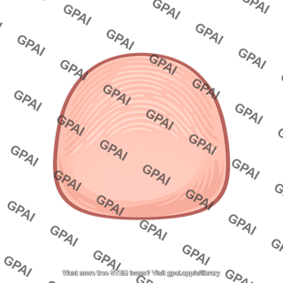 Palmar finger pad