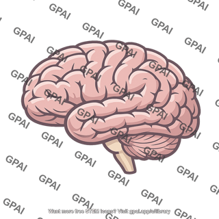 Human brain