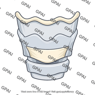 Cervical collar