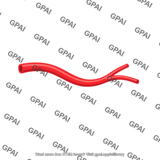 Artery branch