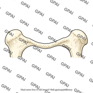 Stylized bone structure