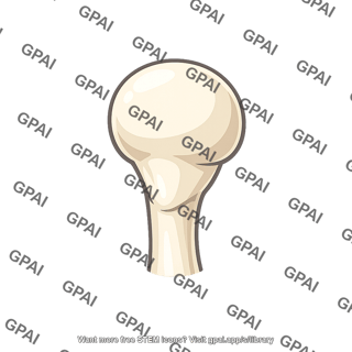 Head of malleus