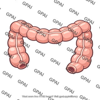 Haustra of colon