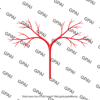 Central retinal artery