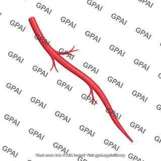 Arterial branch